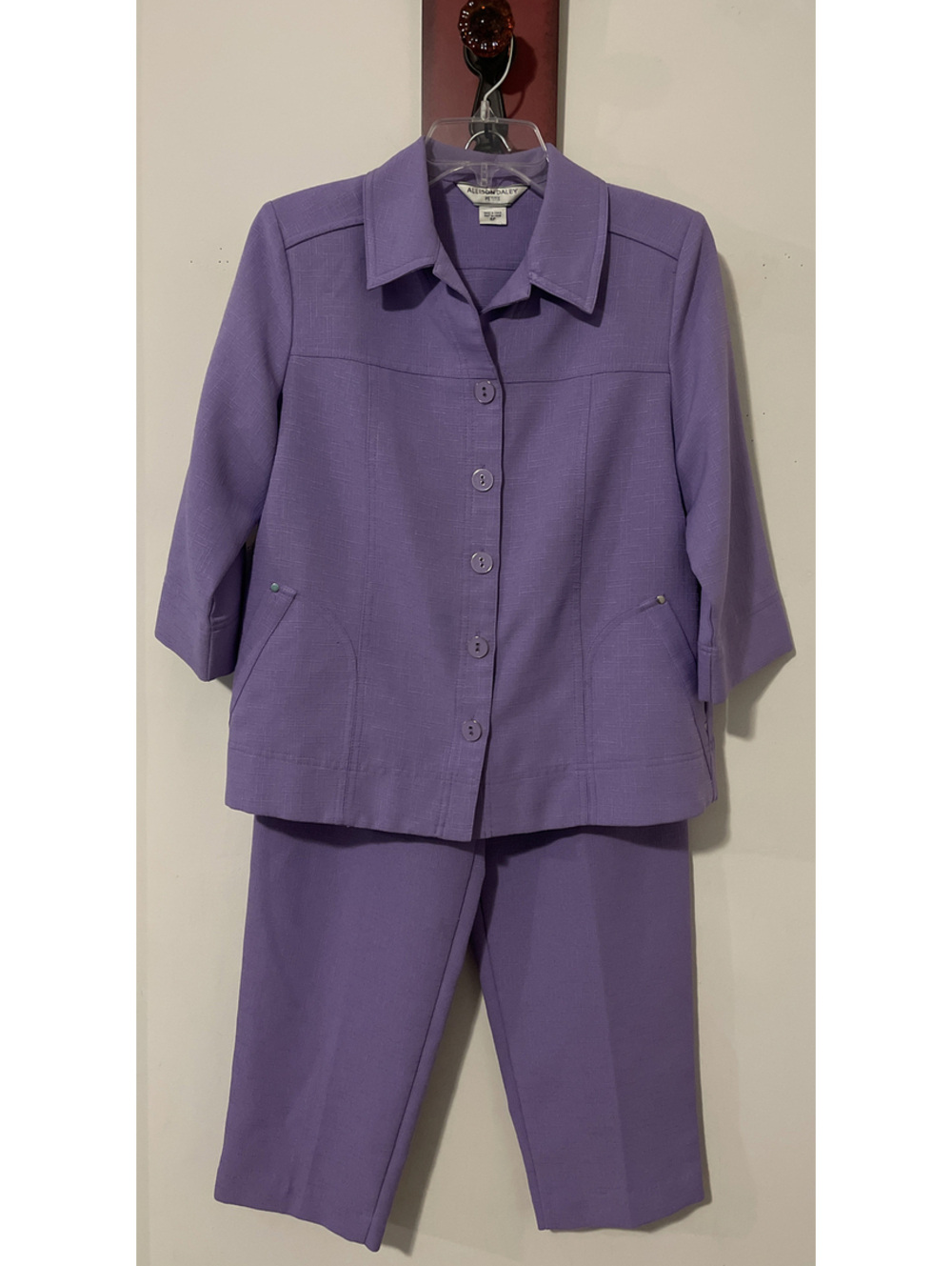 Allison Daley Womens 6 Pet Purple Button-Up Blouse & Pull-On Pant Outfit! A5524